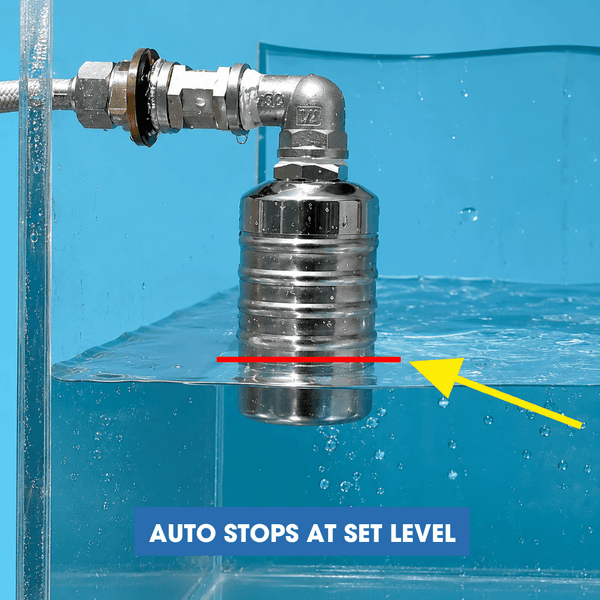 304 Stainless Steel Automatic Water Tank Float Valve – 1/2" or 3/4", Top/Side Inlet